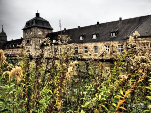 Wasserschloss aus Bruchstein mit spitzem Turm und dunklem Ziegeldach, gespiegelt in der Gräfte, im Vordergrund verblühte gelbe Goldrutenstauden